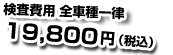 検査費用 全車種一律13,000円+消費税